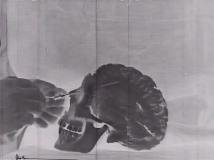 Francesco Bertocco / Alberto Grifi
